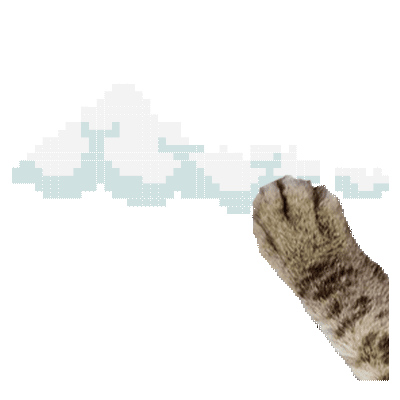 Floothink Cat Cloud